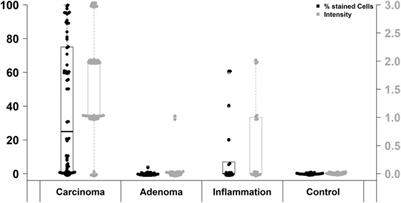 Fibroblast activation protein-α expression in fibroblasts is common in the tumor microenvironment of colorectal cancer and may serve as a therapeutic target